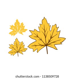 Leaves yellow autumn fallen