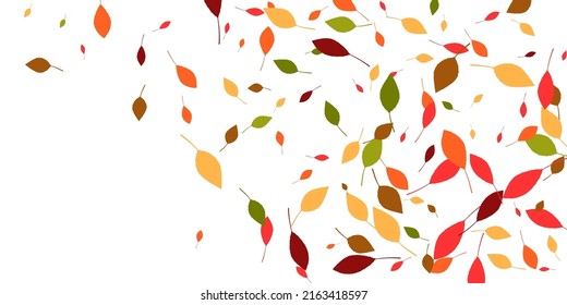 Leaves. Yellow, red, green, orange, brown colors. Scattered autumn leaves. Unusual abstract texture. Vector eps 10.