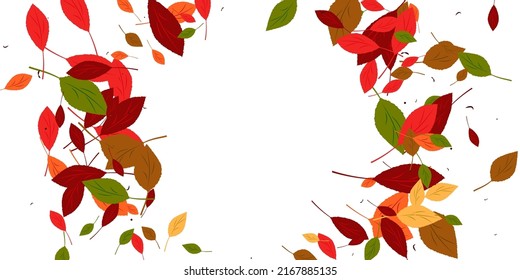 Leaves. Yellow, red, green, orange, brown colors. Scattered autumn leaves. Unusual abstract texture. Vector eps 10.