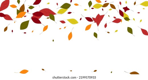 Leaves. Yellow, red, green, orange, brown colors. Scattered autumn leaves. Unusual abstract texture. Vector eps 10.