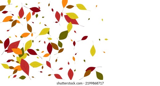 Leaves. Yellow, red, green, orange, brown colors. Scattered autumn leaves. Unusual abstract texture. Vector eps 10.