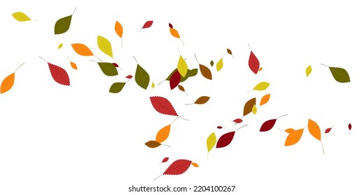 Leaves Yellow Red Green Orange Brown Stock Vector (Royalty Free ...