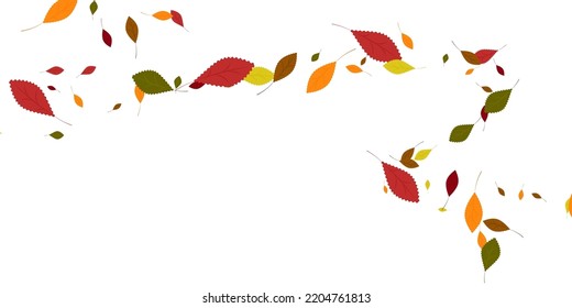 Leaves. Yellow, red, green, orange, brown colors. Scattered autumn leaves. Unusual abstract texture. Vector eps 10.