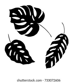 Leaves.Vector illustration.Tropical leaves silhouettes. Tropical background design with exotic palms and plants.