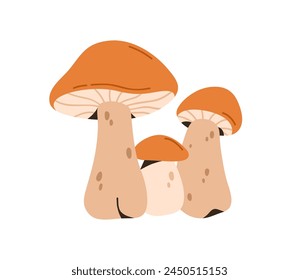 Leccinum fungi. Essbare Waldpilze. Frische Herbst saisonale Boletus-Zusammensetzung. Herbstpilz, Mütze und Stiel. Botanische flache Vektorillustration isoliert auf weißem Hintergrund