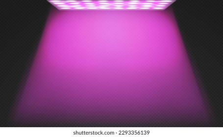 Led red and blue spectrum phytolamp for indoor plant growing. Pink uv light. Modern agro equipment for illumination in commercial greenhouse or home gardening