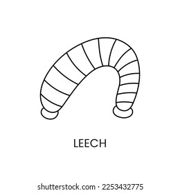 Leech line icon in vector, alternative medicine illustration.