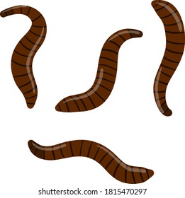 Leech. Set of bloodsucking insects.