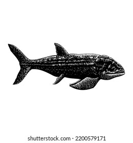 Leedsichthys hand drawing vector illustration isolated on white background