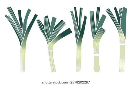 Leek color clipart hand drawn vector illustration isolated on white background