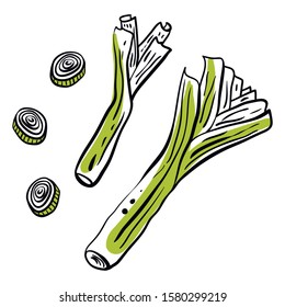 Leek. Colorful sketch of vegetables isolated on white background. Doodle hand drawn vegetables. Vector illustration