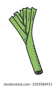 Leek doodle icon, vector single illustration of green onions with leek leaves on a white background.