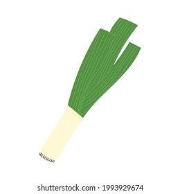 Leek. Flat hand drawn textured illustration of garden green onion. 