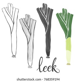 Leek. Hand drawn vector illustration, sketch. Elements for design.