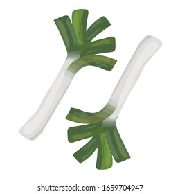 Icono de Leek. Ilustración plana del icono del vector pulido aislado en fondo blanco. EPS 10