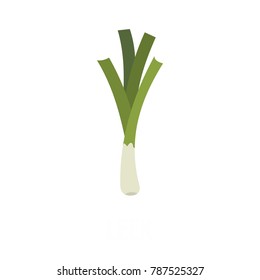 Leek icon. Flat illustration of leek vector icon isolated on white background