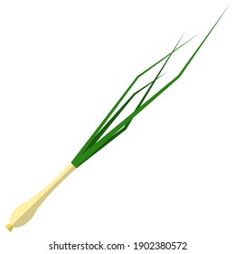 Leek icon, flat vector illustration isolated on white background. Green onion. Farm fresh vegetable. Healthy food.
