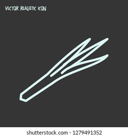 Leek icon line element. Vector illustration of leek icon line isolated on clean background for your web mobile app logo design.