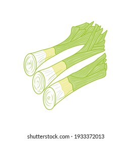Leek illustration. Idea for decors, logo, icon, gifts, ornaments, celebrations, invitation, greeting, autumn holidays, cooking and kitchen themes. Ready-made artwork. Isolated vector.