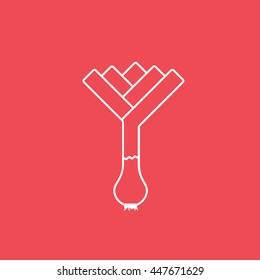 Leek Line Icon On Red Background