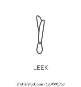 Leek linear icon. Modern outline Leek logo concept on white background from Fruits and vegetables collection. Suitable for use on web apps, mobile apps and print media.