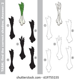 Leek Onion with different shadows to find the correct one, compare and connect object with it true shadow, the educational kid game with simple gaming level.