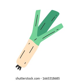 Icono de cebolla, ilustración vectorial aislada de tallo verde con hojas, verduras sanas, ingrediente de ensalada, estilo de doodle dibujado a mano