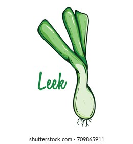 leek organic vegetable food using colored hand drawn style with text or name on white background