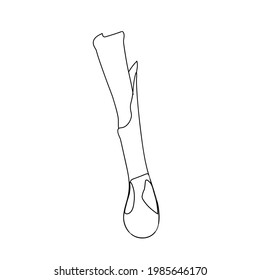 Leek outline . vegetable colorful object. Detailed vegetarian food drawing. Farm market product. Great for menu, label, icon