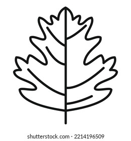 Leek parsley icon outline vector. Leaf herb. Garnish plant