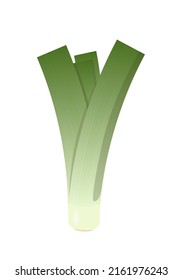 Leek plant, flat style vector illustration isolated on white background