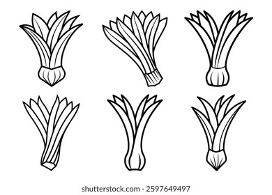 Leek sets icon vector on White Background ,Vector Art Illustration on white background.