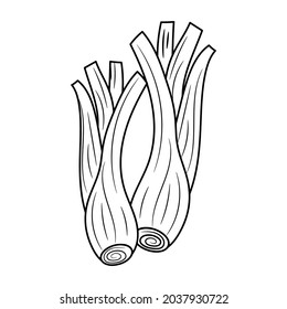 Leek or spring onion, with hand drawn outline vector illustration