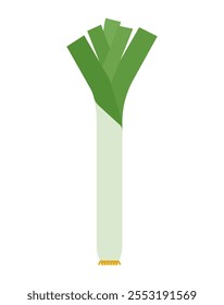 Tallo de puerro. Planta, vegetal, ingrediente, cocina. Ilustración vectorial minimalista, aislada en blanco.