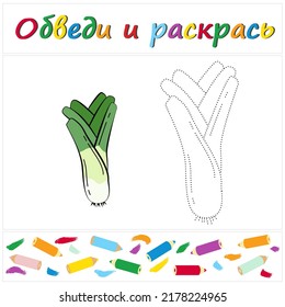 Leek. Task name "Trace and Color" in Russian. A page of a coloring book with a colorful greenery. Repair the dotted line. Educational game. Cartoon style. Vector illustration for children, eps