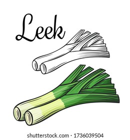 Leek vector drawing icon. Vegetable in retro style, outline illustration of farm product for design advertising products shop or market.