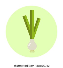 Leek vector illustration. Flat design