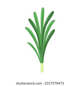 Leek Vector Illustration. Good for Culinary Designs