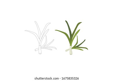 Leek Vector Illustration Of A Vegetable Bundle