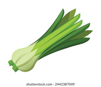 Leek Vegetables flat vector illustration on white background