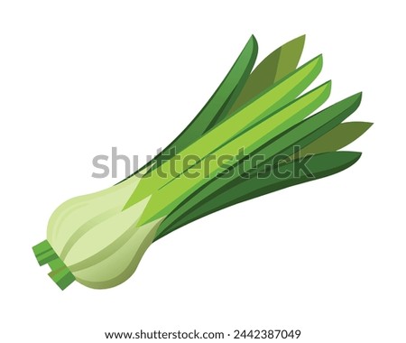 Leek Vegetables flat vector illustration on white background