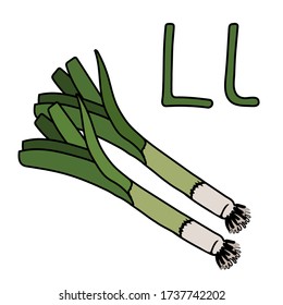 Leek word on letter L. Cartoon outline of root with leaves. Vector outline freehand drawing, sketch, vegetable, black lines, isolated white background, Visual material for the study of letters.