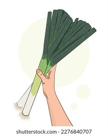 Leeks. Leeks in hand. A vegetable in a human hand. Healthy food. Isolated vector illustration white background. Green vegetable.