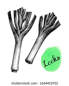 Leeks. Ink sketch isolated on white background. Hand drawn vector illustration. Retro style.