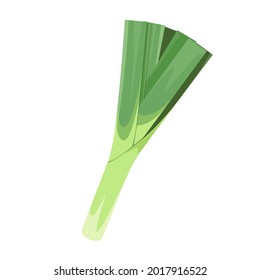 Leeks on a white background. Green vegetable.