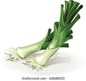 Leeks, propped on one floor.