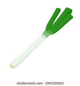 Ilustración Leek.Vector fácil de editar.