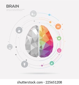 Left brain and right brain Idea concept background .vector illustration