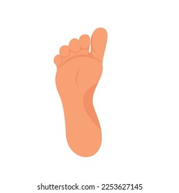 Left foot soles illustration for footwear, shoe concepts, medical, health, massage, spa, acupuncture centers etc. Realistic cartoon style, colored with skin tones. Vector isolated on white. Eps10