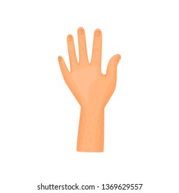 Left hand on white background. Vector illustration.